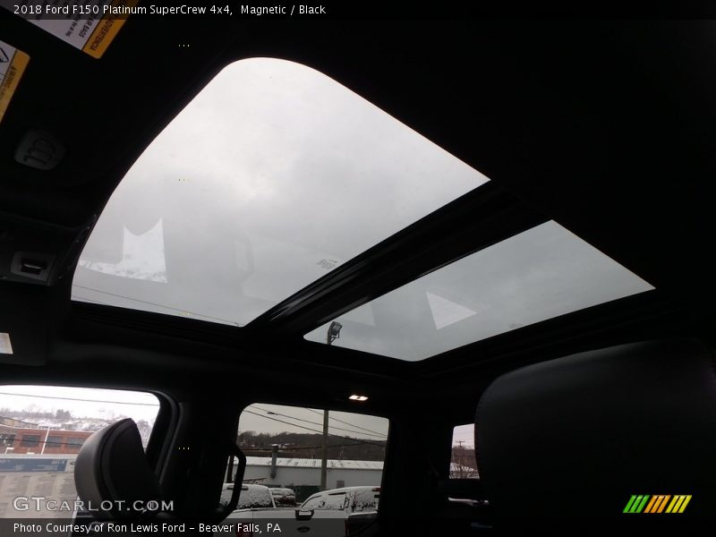 Magnetic / Black 2018 Ford F150 Platinum SuperCrew 4x4