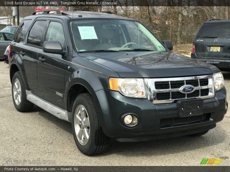 Tungsten Grey Metallic / Charcoal 2008 Ford Escape XLT V6 4WD