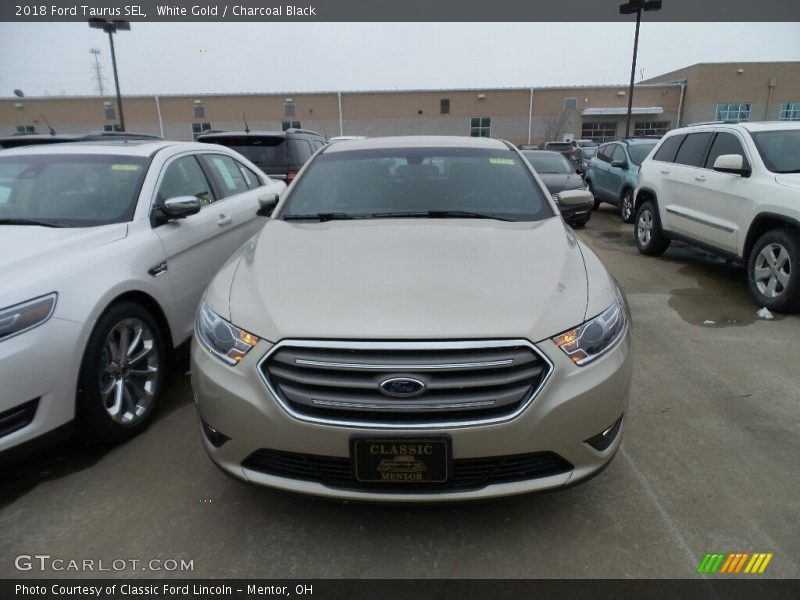 White Gold / Charcoal Black 2018 Ford Taurus SEL