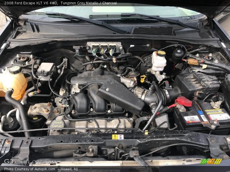 Tungsten Grey Metallic / Charcoal 2008 Ford Escape XLT V6 4WD