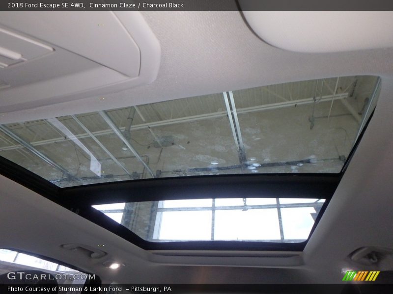 Cinnamon Glaze / Charcoal Black 2018 Ford Escape SE 4WD