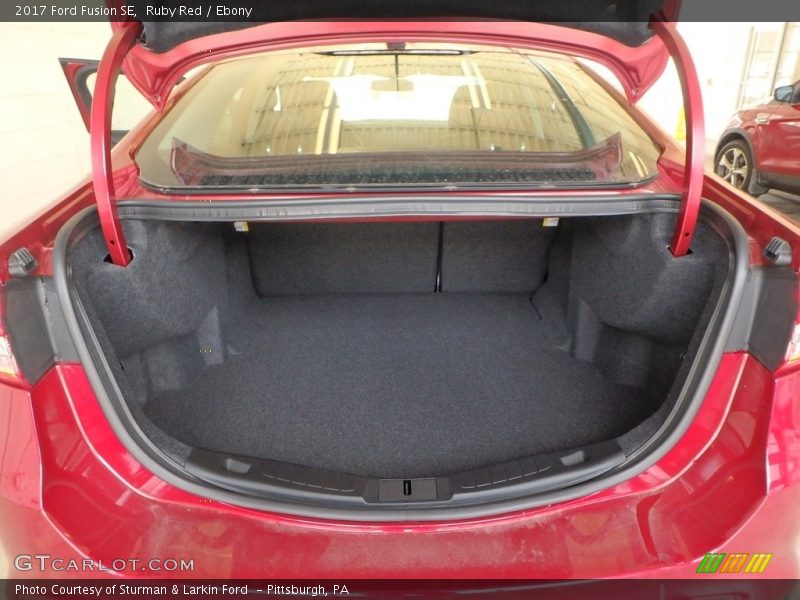 Ruby Red / Ebony 2017 Ford Fusion SE