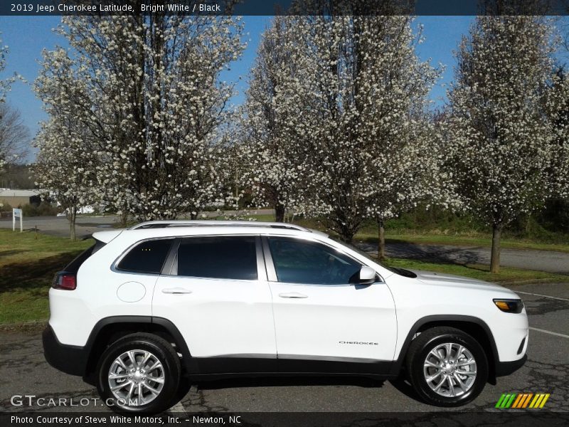 Bright White / Black 2019 Jeep Cherokee Latitude