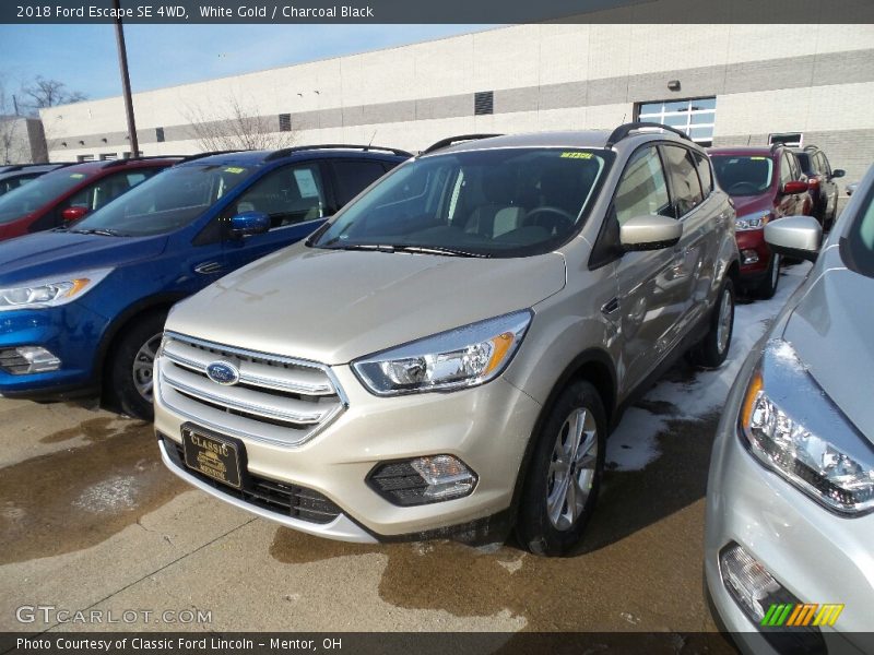 White Gold / Charcoal Black 2018 Ford Escape SE 4WD