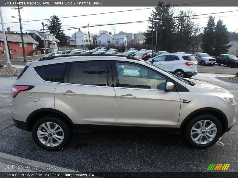 White Gold / Charcoal Black 2018 Ford Escape SE 4WD