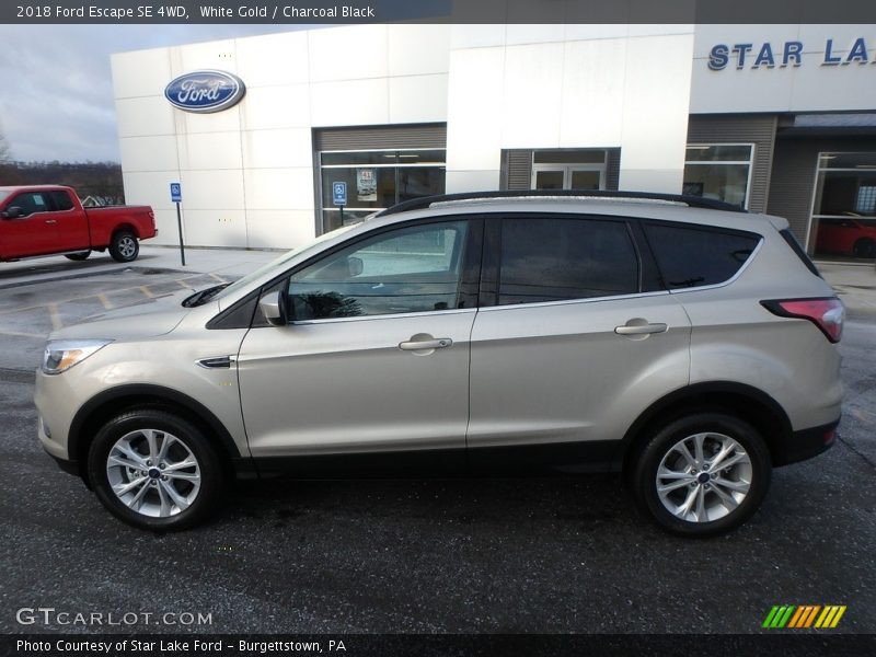 White Gold / Charcoal Black 2018 Ford Escape SE 4WD