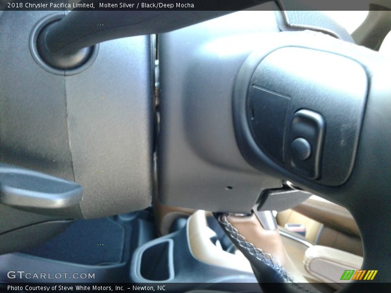 Molten Silver / Black/Deep Mocha 2018 Chrysler Pacifica Limited