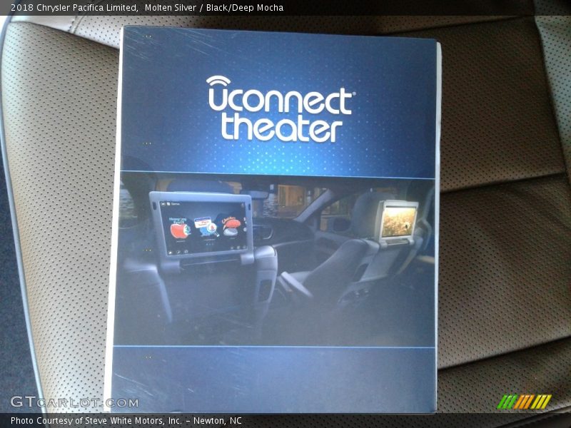 Molten Silver / Black/Deep Mocha 2018 Chrysler Pacifica Limited
