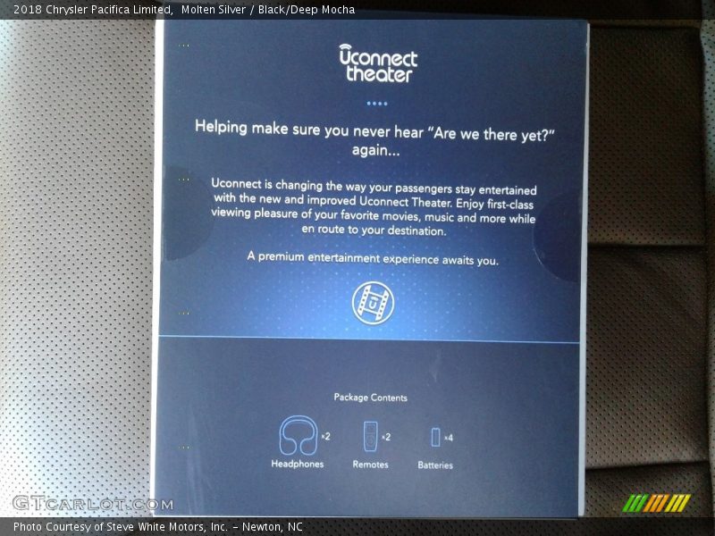 Molten Silver / Black/Deep Mocha 2018 Chrysler Pacifica Limited
