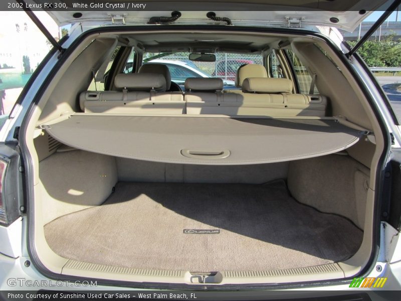 White Gold Crystal / Ivory 2002 Lexus RX 300