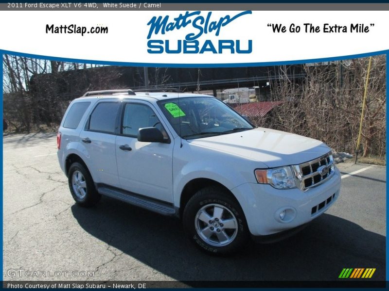 White Suede / Camel 2011 Ford Escape XLT V6 4WD