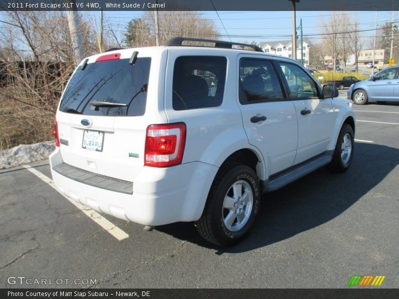 White Suede / Camel 2011 Ford Escape XLT V6 4WD