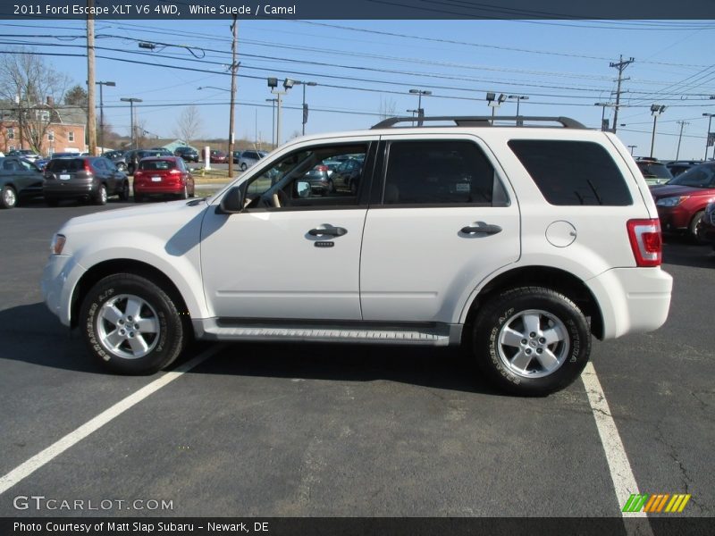 White Suede / Camel 2011 Ford Escape XLT V6 4WD