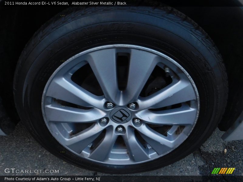 Alabaster Silver Metallic / Black 2011 Honda Accord EX-L V6 Sedan