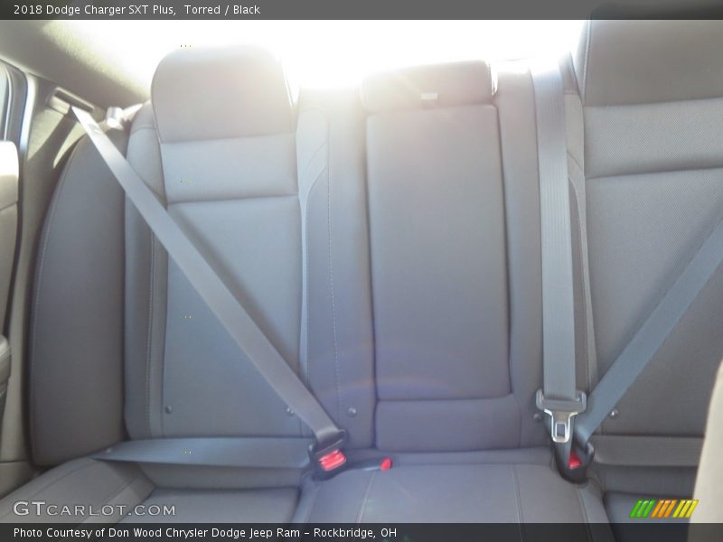 Torred / Black 2018 Dodge Charger SXT Plus