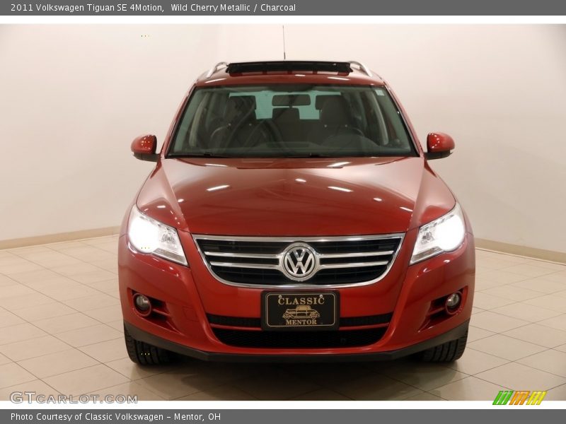 Wild Cherry Metallic / Charcoal 2011 Volkswagen Tiguan SE 4Motion
