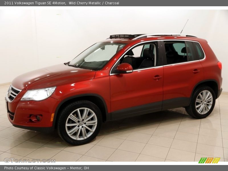 Wild Cherry Metallic / Charcoal 2011 Volkswagen Tiguan SE 4Motion