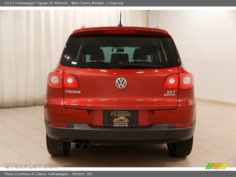 Wild Cherry Metallic / Charcoal 2011 Volkswagen Tiguan SE 4Motion