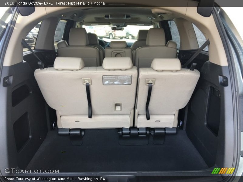 Forest Mist Metallic / Mocha 2018 Honda Odyssey EX-L