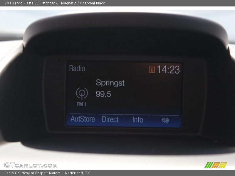 Magnetic / Charcoal Black 2018 Ford Fiesta SE Hatchback