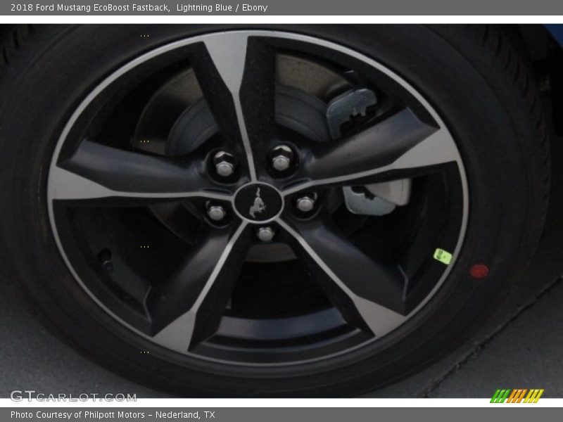 Lightning Blue / Ebony 2018 Ford Mustang EcoBoost Fastback