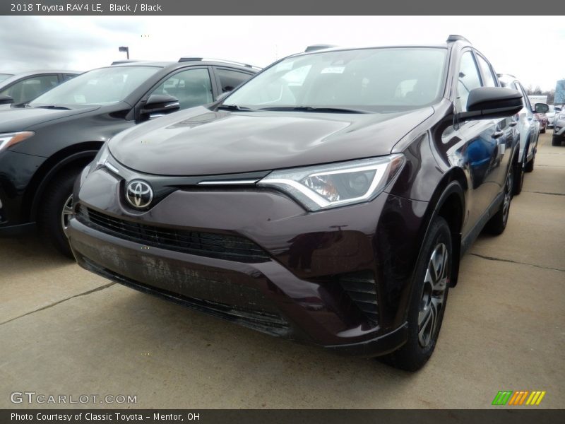 Black / Black 2018 Toyota RAV4 LE