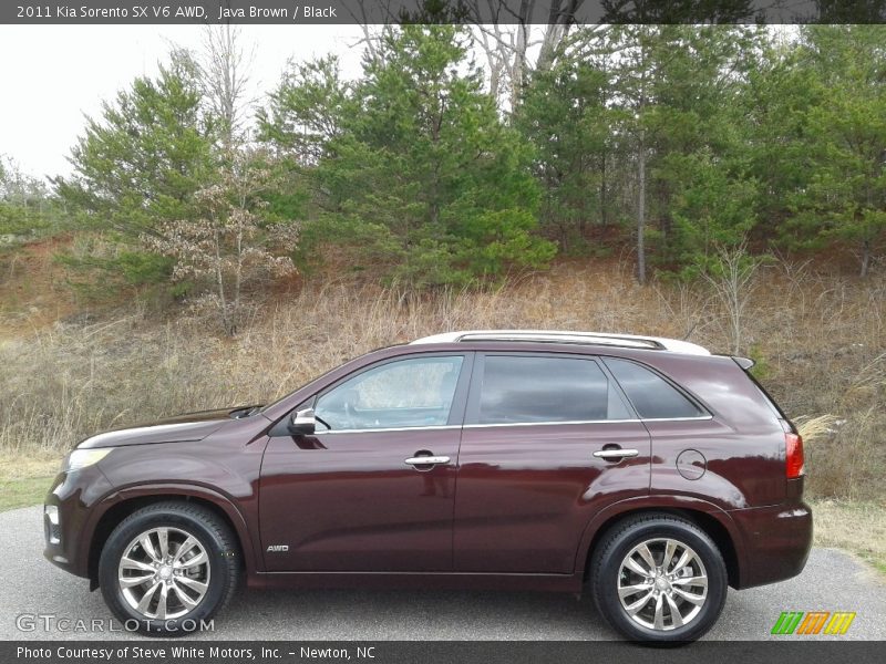 Java Brown / Black 2011 Kia Sorento SX V6 AWD