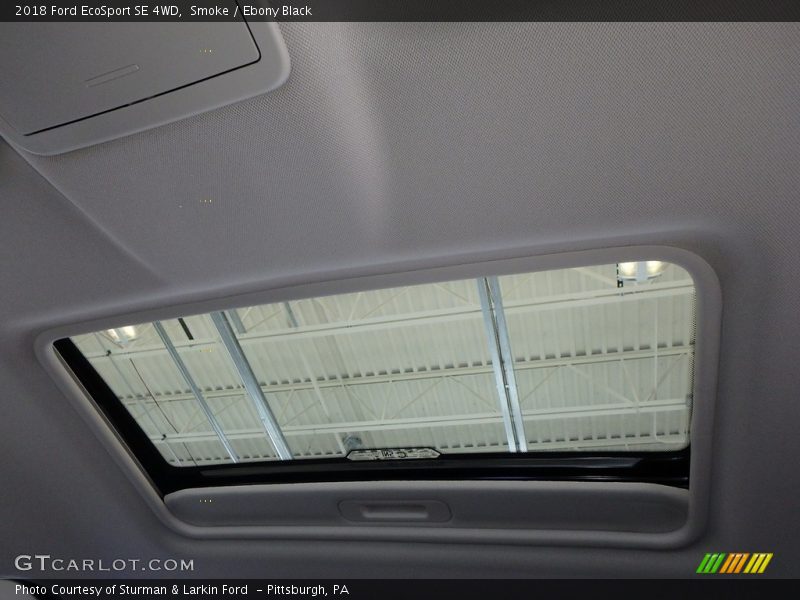 Smoke / Ebony Black 2018 Ford EcoSport SE 4WD