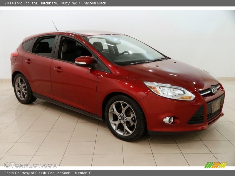 Ruby Red / Charcoal Black 2014 Ford Focus SE Hatchback