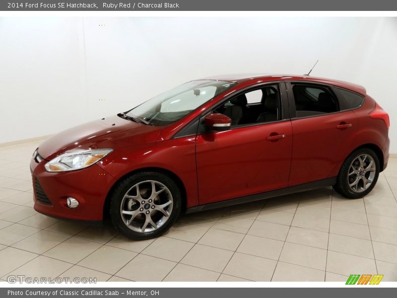 Ruby Red / Charcoal Black 2014 Ford Focus SE Hatchback