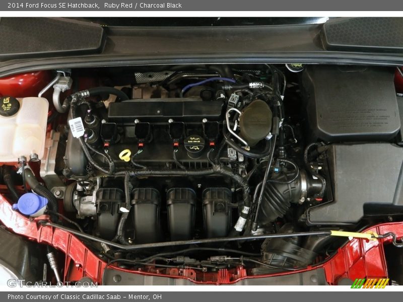 Ruby Red / Charcoal Black 2014 Ford Focus SE Hatchback