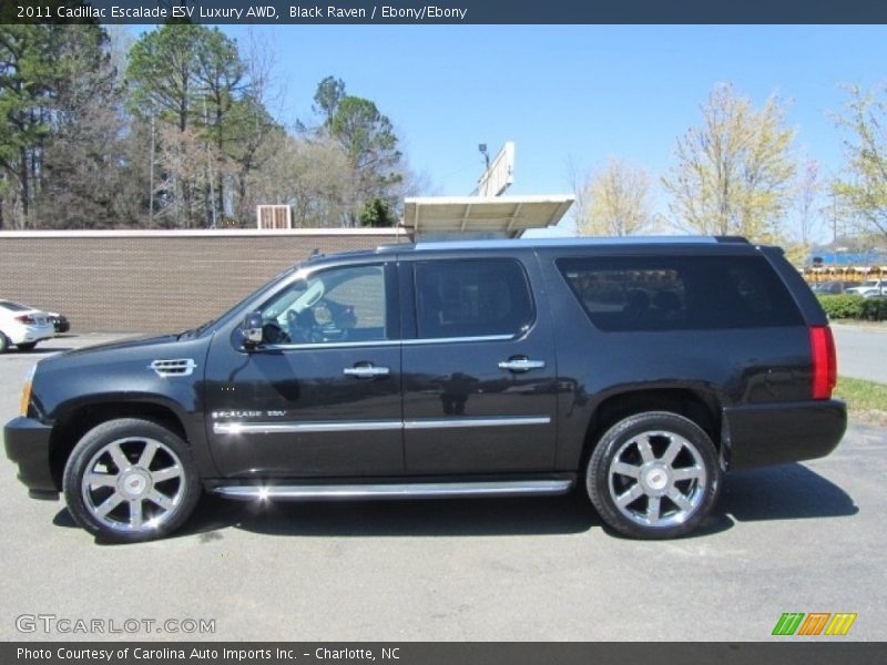 Black Raven / Ebony/Ebony 2011 Cadillac Escalade ESV Luxury AWD