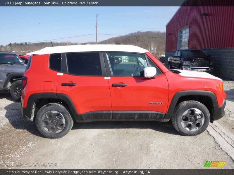 Colorado Red / Black 2018 Jeep Renegade Sport 4x4