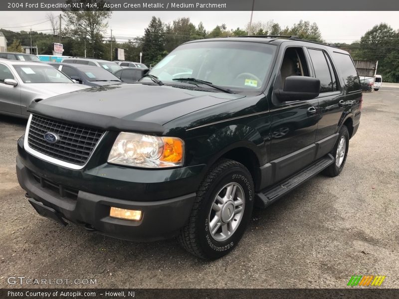 Aspen Green Metallic / Medium Parchment 2004 Ford Expedition XLT 4x4