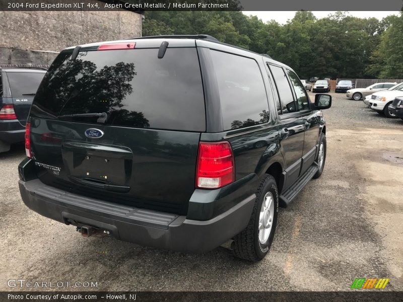 Aspen Green Metallic / Medium Parchment 2004 Ford Expedition XLT 4x4