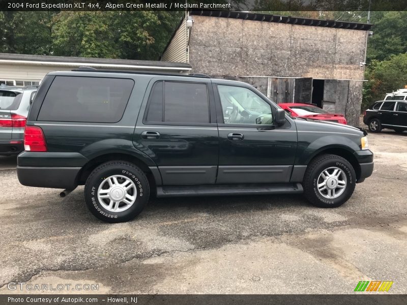 Aspen Green Metallic / Medium Parchment 2004 Ford Expedition XLT 4x4