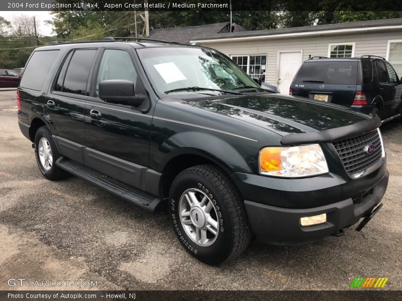 Aspen Green Metallic / Medium Parchment 2004 Ford Expedition XLT 4x4