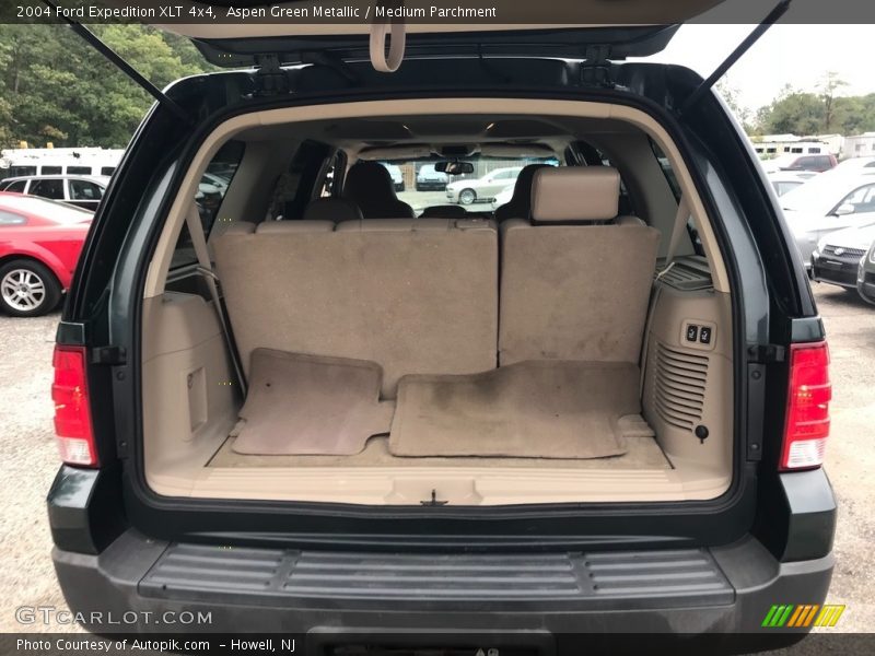 Aspen Green Metallic / Medium Parchment 2004 Ford Expedition XLT 4x4
