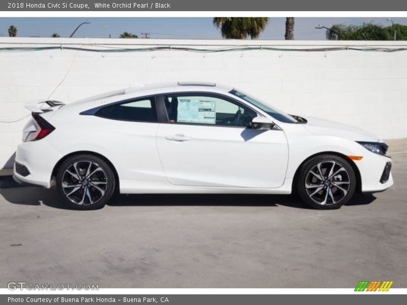 White Orchid Pearl / Black 2018 Honda Civic Si Coupe