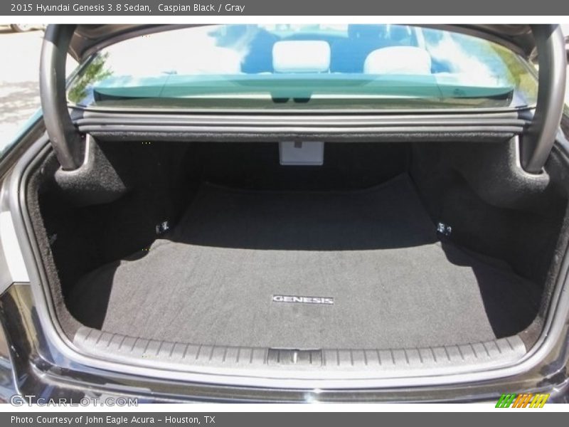 Caspian Black / Gray 2015 Hyundai Genesis 3.8 Sedan