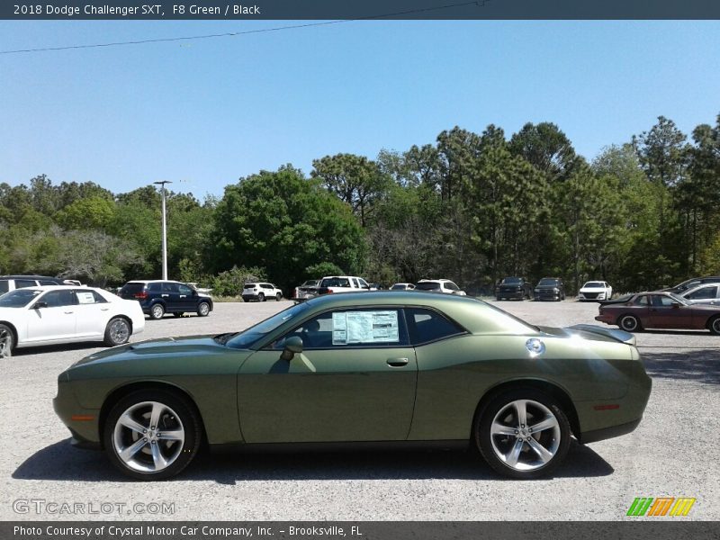 F8 Green / Black 2018 Dodge Challenger SXT