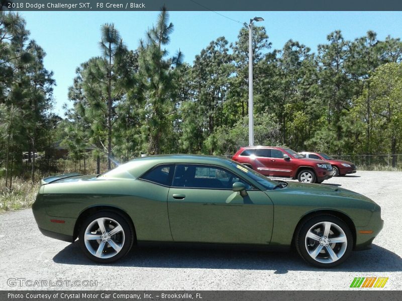 F8 Green / Black 2018 Dodge Challenger SXT