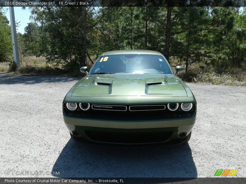 F8 Green / Black 2018 Dodge Challenger SXT