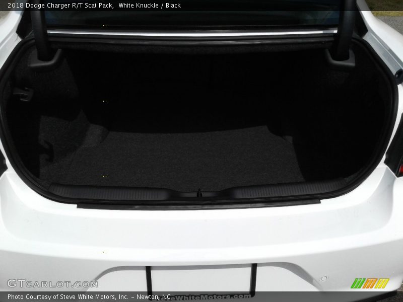 White Knuckle / Black 2018 Dodge Charger R/T Scat Pack