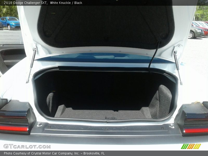 White Knuckle / Black 2018 Dodge Challenger SXT