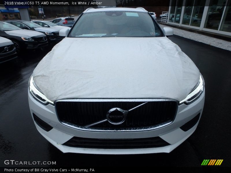 Ice White / Amber 2018 Volvo XC60 T5 AWD Momentum