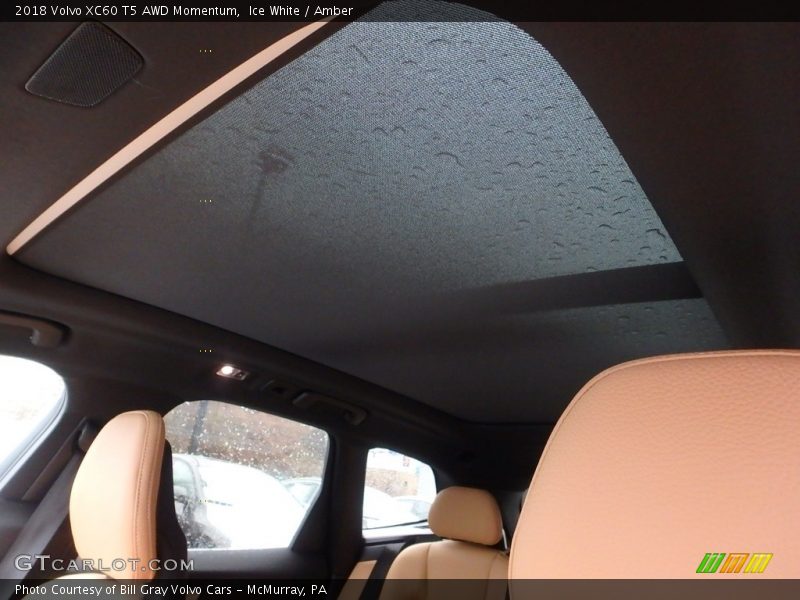 Ice White / Amber 2018 Volvo XC60 T5 AWD Momentum