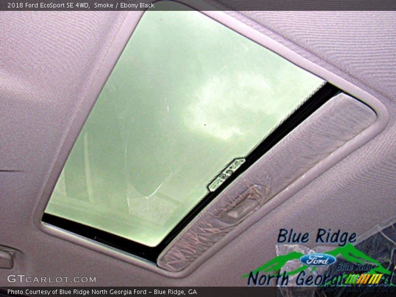 Smoke / Ebony Black 2018 Ford EcoSport SE 4WD