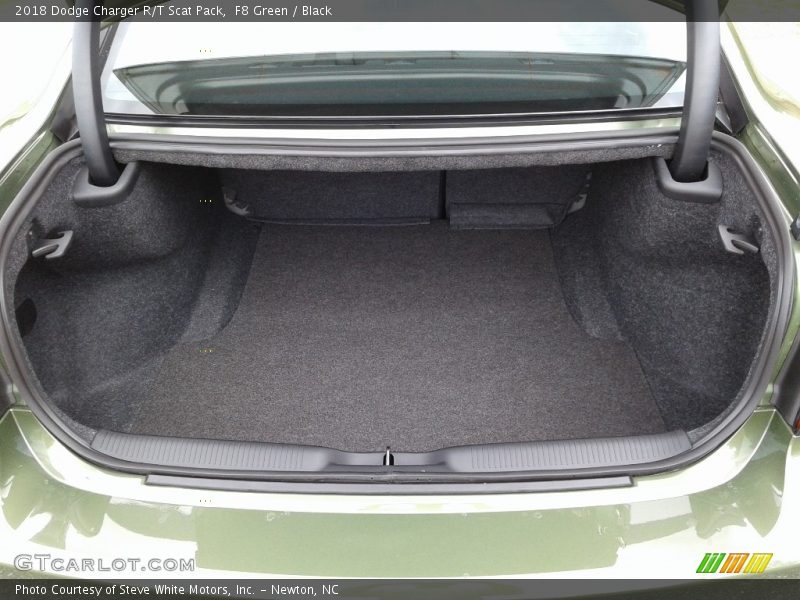 F8 Green / Black 2018 Dodge Charger R/T Scat Pack