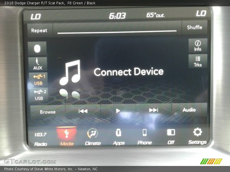 F8 Green / Black 2018 Dodge Charger R/T Scat Pack